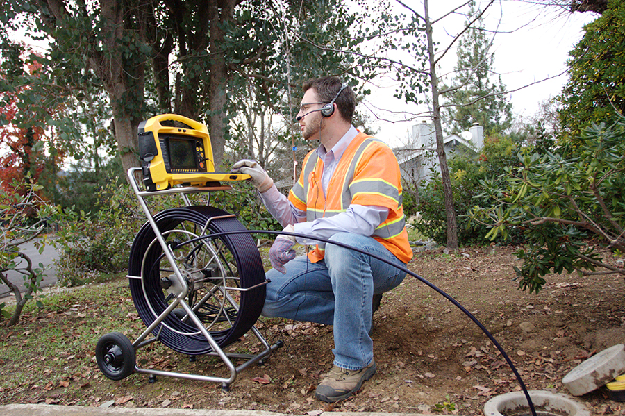 14551461651633 (1).jpg